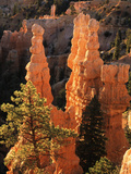 View of Pinnacle at Bryce Canyon National Park  Utah  USA