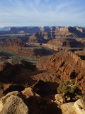 Colorado River  Dead Horse Point  Canyonlands National Park  Moab  Utah  USA