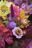 Bouquet of Colorful Flowers at a Farmers' Market  Savannah  Georgia  USA