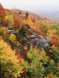 View of Autumnal Rocks  Blue Ridge Parkway  North Carolina  USA