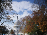 View of Capitol Building with Autumn Trees  Washington DC  USA