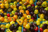 Fresh Organic Vegetables at a Farmers' Market  Savannah  Georgia  USA