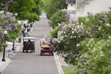 Lilac Lined Street with Horse Carriage  Mackinac Island  Michigan  USA