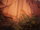 Chimney Rock Canyon  Colorado Plateau  Capitol Reef National Park  Utah  USA