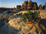 View of Rock Formations at Canyon  Maze District  Utah  USA