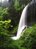 View of Middle North Falls  Silver Falls State Park  Oregon  USA