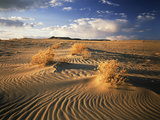 View of Killpecker Sand Dunes at Sunset  Wyoming  USA