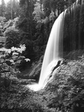 View of Middle North Falls  Silver Falls State Park  Oregon  USA