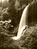 View of Middle North Falls  Silver Falls State Park  Oregon  USA