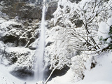 View of Multonmah Falls in Winter  Columbia Gorge Scenic Area  Oregon  USA