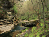 Raven Run Nature Sanctuary  Lexington  Kentucky  USA