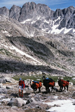 Women Hiking in Bridger Teton National Forest  Wyoming  USA