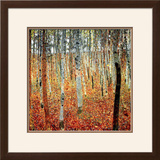 Forest of Beech Trees  c1903