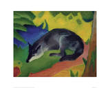 Black and Blue Fox