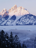 View of Grand Teton National Park in Morning  Wyoming  USA