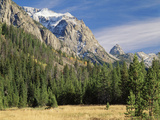 Bridger Teton National Park  Grand Teton National Park  Wyoming  USA