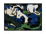 Horses Resting