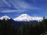 View of Mt Rainier National Park  Washington  USA