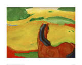 Horse in a Landscape