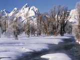 Grand Teton National Park Covered in Snow  Wyoming  USA