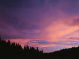 View of Clouds and Trees at Dixie National Forest  Utah  USA