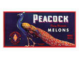 Peacock Melons