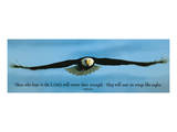 Inspirational - Eagle