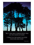 Olive Tree