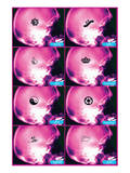 Female Brain