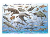 Prehistoric Marine Life