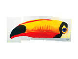 Lovely Day Toucan