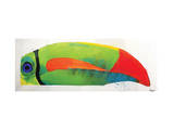 My Goodness Toucan