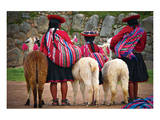 Peruvian Indios with Lamas