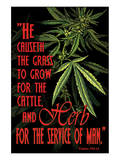 Psalms 104