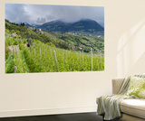 Tirol Castle Near Meran  South Tyrol  Italy