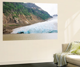 Alpine Lake  Coast Mountains  Bear Glacier  Stewart  British Columbia  Canada