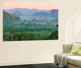 Limestone Hill  Farmland  Vinales Valley  UNESCO World Heritage Site  Cuba