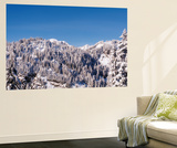 Snow-Covered Mountain  Cascade Range  Mt Rainier National Park  Washington  USA