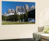 Geisler Mountains Valley Villnoess  Spring-Crocus  Dolomites  South Tyrol  Italy