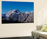 Snow-Covered Mountain  Cascade Range  Mt Rainier National Park  Washington  USA