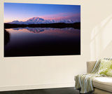 Lake with Mt McKinley  Denali National Park and Preserve  Alaska  USA