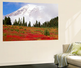 Snowcapped Mountain with Fog  Mt Rainier National Park  Washington  USA
