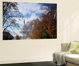 View of Capitol Building with Autumn Trees  Washington DC  USA