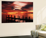 View of Birds on Pier at Sunset  Fort Myers  Florida  USA