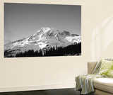 Mt Rainier at Sunset  Mt Rainier National Park  Washington  USA