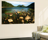 Jordan Pond and the Bubbles Mountain  Acadia National Park  Maine  USA