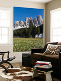 Geisler Mountains Valley Villnoess  Spring-Crocus  Dolomites  South Tyrol  Italy