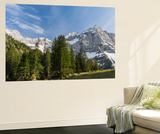 Eng Valley  Karwendel Mountain Range  Austria