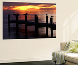View of Birds on Pier at Sunset  Fort Myers  Florida  USA
