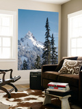 Snow-Covered Mountain  Cascade Range  Mt Rainier National Park  Washington  USA